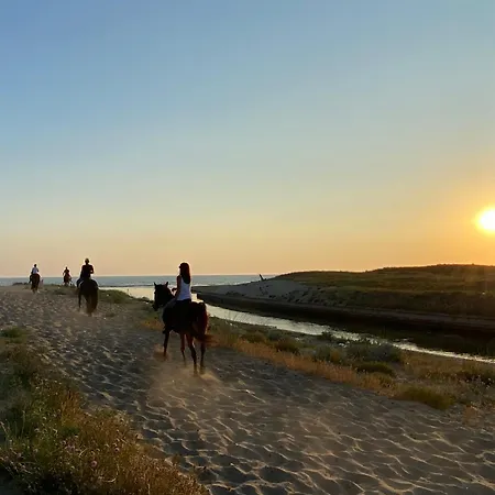 Appartement Casagiardino Sofia *