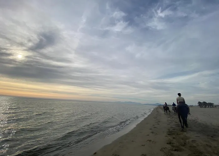 Casagiardino Sofia شقة فركاتشورو