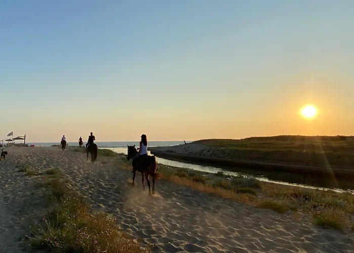 Διαμέρισμα Casagiardino Sofia *